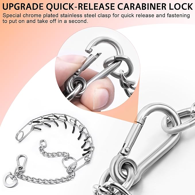 DEYACE Stainless Steel Dog Training Collar, Quick Release Buckle, Adjustable Collar for Small Dogs Neck Girth 8.5"-10.5"