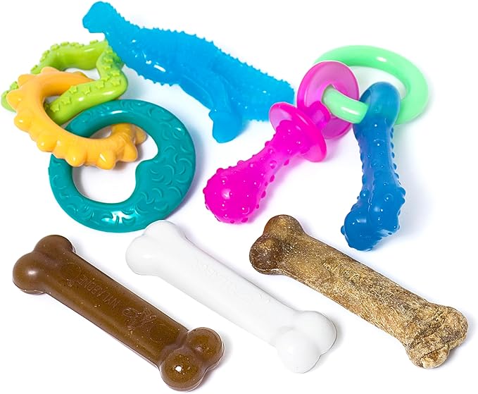 Nylabone New Puppy Starter Kit, 5 Chew Toys and 1 Natural Treat for Puppies, Multi Color, Bacon & Chicken Flavor, Small Dogs - Up to 25 lbs., 6 Pack