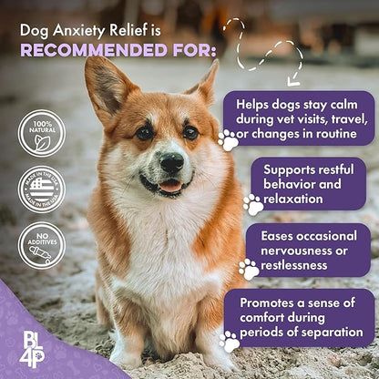 Pet Relax Dog Calming Anxiety Relief, Long-Lasting Dog Relaxants for Stress Relief, Natural Solution for Separation Anxiety, Travel, Thunderstorms, and Fireworks, 400 Odorless, Tasteless Pills