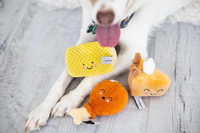 Pearhead Pet Thanksgiving Dinner Dog Toys - Slice of Pumpkin Pie, Turkey Leg, and Corn Cob Plush with Squeakers, Set of 3