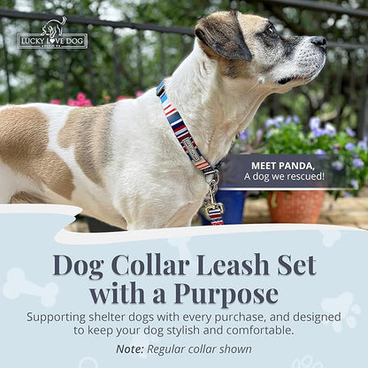 Lucky Love Dog Martingale Dog Collar & Leash - Adjustable, No-Slip, Durable, Comfortable, Soft Webbing, & Stylish Patterned Dog Collar & Leash Set for Male and Female Dogs - Linus Combo, Medium