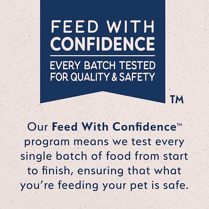 Natural Balance Limited Ingredient Adult Wet Canned Dog Food with Healthy Grains, Reserve Duck & Brown Rice Recipe, 13 Ounce (Pack of 12)