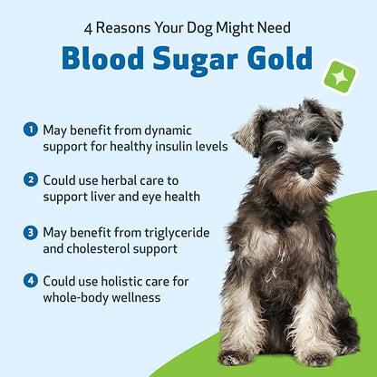 Pet Wellbeing Blood Sugar Gold Dogs - Holistic Support for Healthy Blood Sugar Levels, Insulin Stabilization & Normal Pancreatic Function - NASC Certified & Vet-Formulated - 4 oz Liquid
