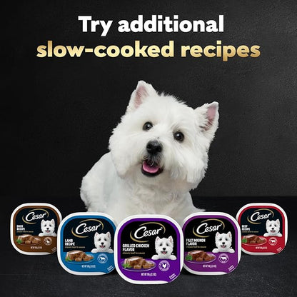 Cesar Wet Dog Food Classic Loaf in Sauce, Grilled Chicken Flavor and Top Sirloin Flavor, 3.5 oz. Easy Peel Trays, Variety Pack, 12 Count (Pack of 2)