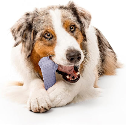 Playology Dog Toys | Dual Layer Bone Durable Chew Toy Bone for Dogs | Jumbo Lamb Scented Toy - Easy to Clean and Made from Non Toxic Materials