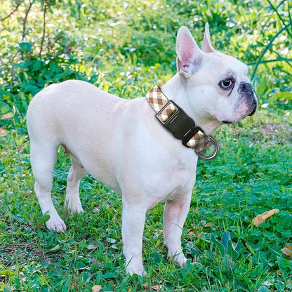 Ladoogo Reflective Dog Collar Padded with Soft Neoprene Breathable Adjustable Nylon Dog Collars for Small Medium Large Dogs (Small (Pack of 1), Vanilla Plaid Collar+Leash)