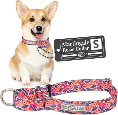 Lucky Love Dog Martingale Dog Collar - Adjustable, No-Slip, Durable, & Soft Webbing Collar for Male and Female Dogs Ideal for Training & Walking - Rosie, Small