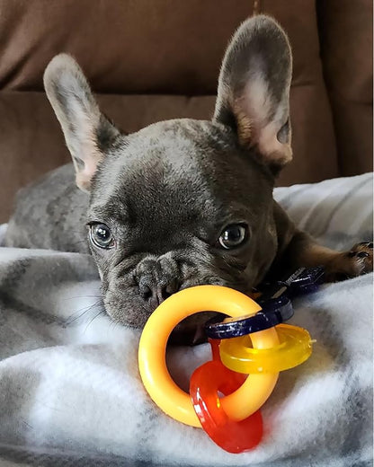 Nylabone Puppy Chew Key Ring Toy, Toys for Teething Puppies, Multi Color, Bacon Flavor, X-Small - Up to 15 lbs, 1 Count