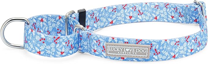 Lucky Love Dog Martingale Dog Collar - Adjustable, No-Slip, Durable, & Soft Webbing Collar for Male and Female Dogs Ideal for Training & Walking - Winterblue, Small