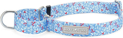 Lucky Love Dog Martingale Dog Collar - Adjustable, No-Slip, Durable, & Soft Webbing Collar for Male and Female Dogs Ideal for Training & Walking - Winterblue, Small