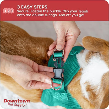 Downtown Pet Supply Step in Dog Harness for Small Dogs No Pull, Large, Bermuda Blue - Adjustable Harness with Padded Mesh Fabric and Reflective Trim - Buckle Strap Harness for Dogs