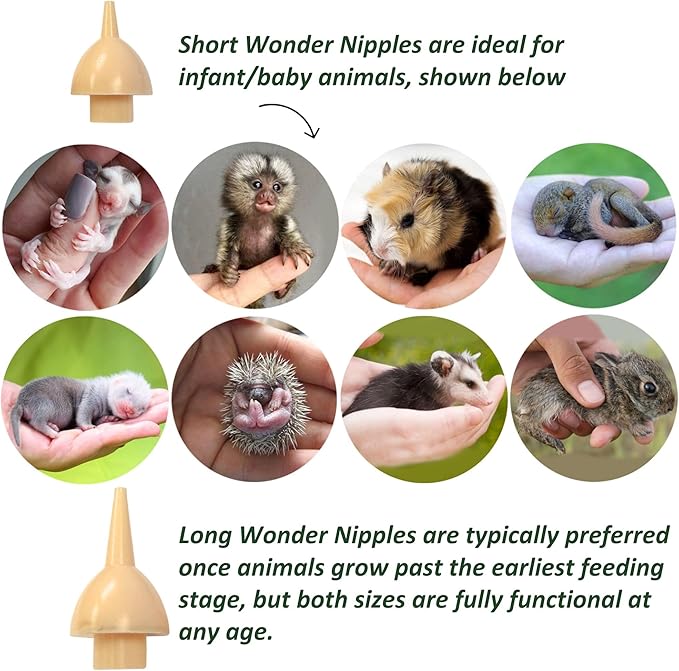Exotic Nutrition Baby Animal Nursing Set (Basic) - Milk Replacer Formula, Feeding Syringes- Sugar Glider, Squirrel, Opossum, Rabbit & Other Mammals