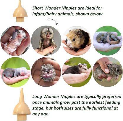 Exotic Nutrition Baby Animal Nursing Set (Basic) - Milk Replacer Formula, Feeding Syringes- Sugar Glider, Squirrel, Opossum, Rabbit & Other Mammals