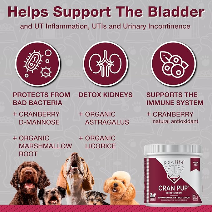 Cranberry Supplements for Dogs| Urinary Tract & Bladder Support| D Mannose & Antioxidants for Support| 240 Veterinarian Formulated Soft Chews| Up to 4-Month Supply