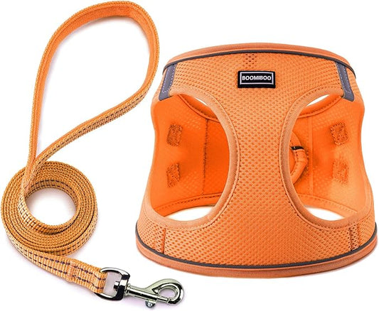 Dog Harness with Leash Set, No Pull Adjustable Reflective Step-in Puppy Pet Vest Harnesses for Small Medium Large Dogs and Cats,Orange L