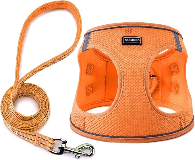 Dog Harness with Leash Set, No Pull Adjustable Reflective Step-in Puppy Pet Vest Harnesses for Small Medium Large Dogs and Cats,Orange XXS