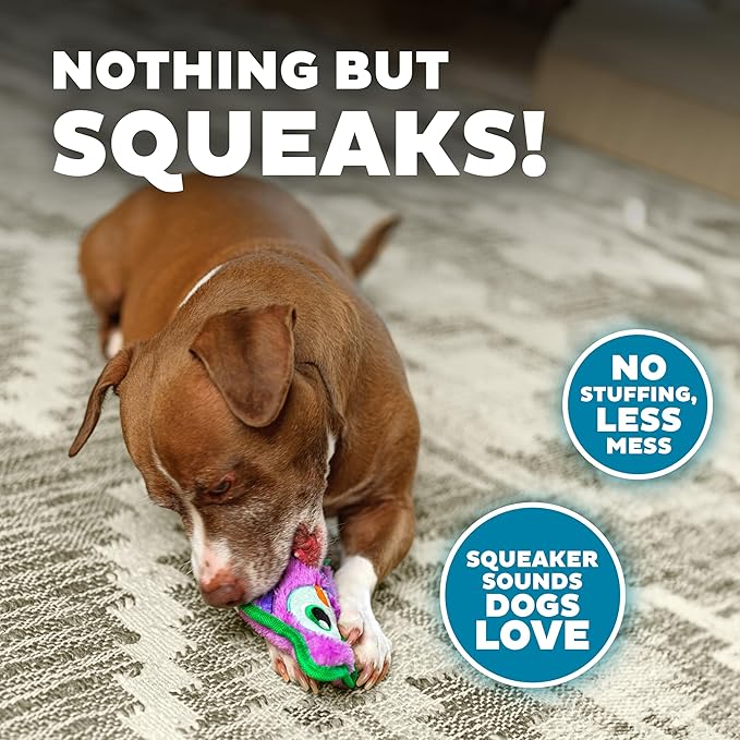 Outward Hound Durablez Minis – Squeaky Plush Dog Toy, No Stuffing for Less Mess, Interactive & Tough, Jumbo Squeaker, Puppies & Small Dogs, Owl, 5.8"
