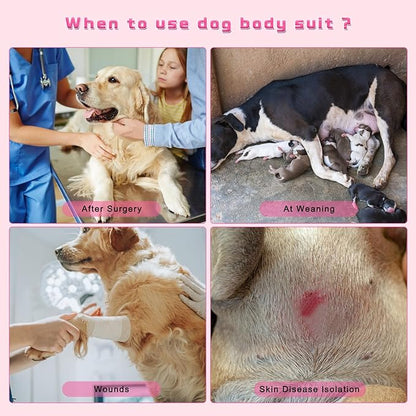 2 Packs Breathable Cotton Dog Recovery Suit for After Neuter Spay Abdominal Wounds Protector, Professional Anti-Licking Onesies for Male Female Pets Surgery Bandages, 2XL Purple & Pink Stripes