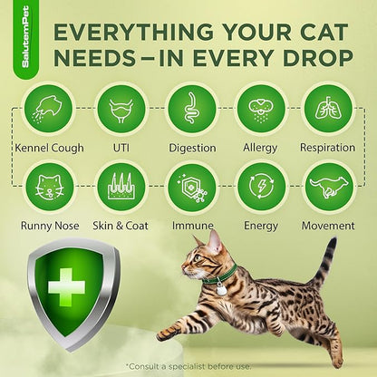 Cat Antibiotic in Drops – Natural Antibiotics for Cats with Chicken Flavor Help with UTI, Cough, Allergies – Safe for Pets and Breeds – 2-oz Bottle with a Pendant Included