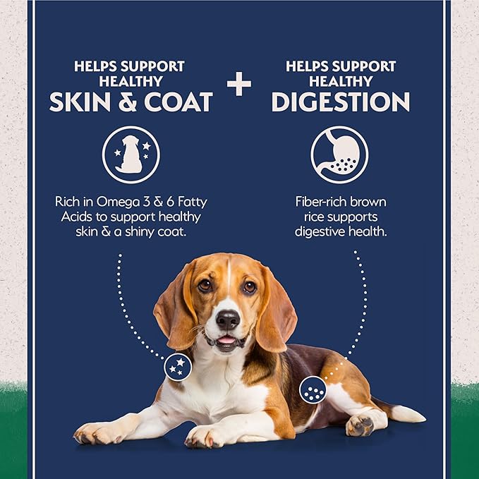 Natural Balance Limited Ingredient Adult Dry Dog Food with Healthy Grains, Lamb & Brown Rice Recipe, 12 Pound (Pack of 1)