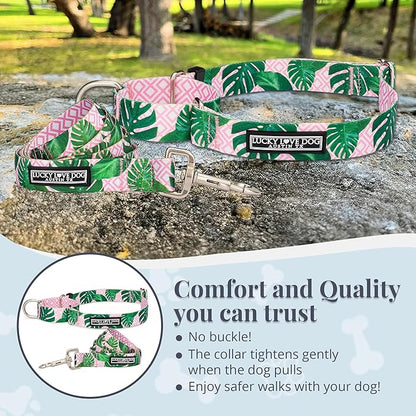 Lucky Love Dog Martingale Dog Collar & Leash - Adjustable, No-Slip, Durable, Comfortable, Soft Webbing, & Stylish Patterned Collar & Leash Set for Male and Female Dogs - Laguna Mart Combo, Medium