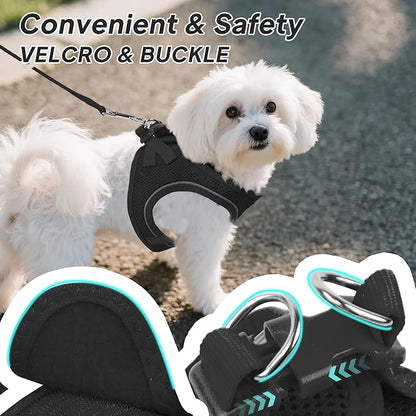 PetiFine Step in Small Dog Harness and Leash Set, Breathable All Weather Air Mesh Reflective Escape Proof, Step-in Vest Harnesses for Puppy(XS, Black)