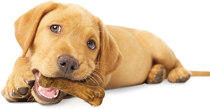 Nylabone Healthy Edibles Natural Puppy Chews Long Lasting Treats for Puppies, Lamb & Apple Flavor, Small/Regular (3 Count)