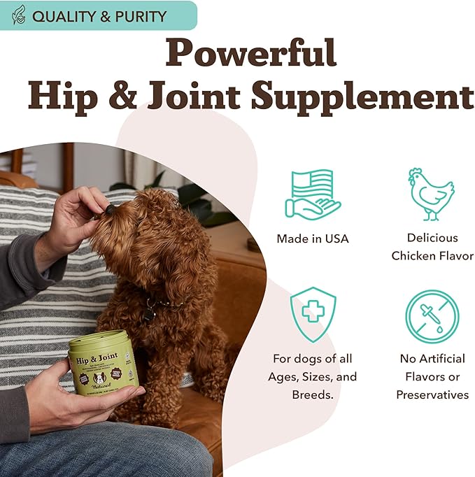 Natural Dog Company Hip & Joint Supplement Chew for Dogs – Supports Mobility, Flexibility & Comfort, Glucosamine, Chondroitin, MSM & Turmeric, Chicken Flavor, 90 Count