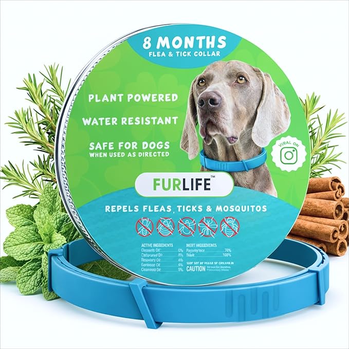 FurLife Flea and Tick Collar for Dogs – Waterproof Blue Dog Collar, Pet Supplies for Tick and Flea Prevention for Dogs, Safe for All Breeds
