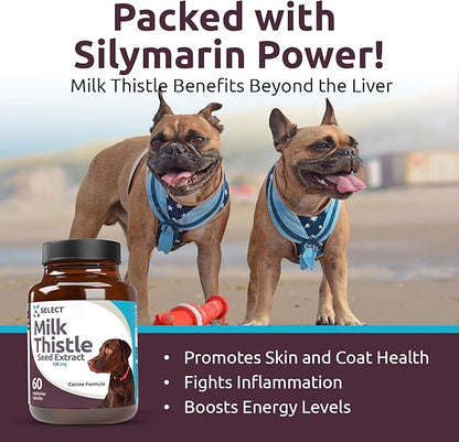 Milk Thistle for Dogs, 100mg - 60 Vegetable Capsules - Canine Liver Health Milk Thistle Supplement - Milk Herbal