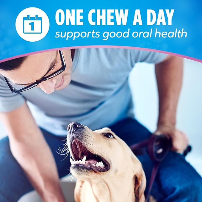 Dentalife Plus Digestive Support Dog Treats for Large Dogs 40 lbs. and up, Cleans Teeth, Freshens Breath, & Supports Healthy Gut, Chicken & Pumpkin Flavor, 7 oz., 6 Chews - 6 ct. Pouch (Pack of 2)