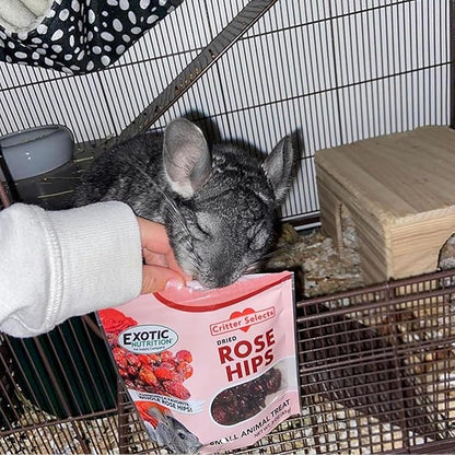 Dried Rose Hips (8 oz.) - Healthy Natural Treat - Chinchillas, Guinea Pigs, Rabbits, Prairie Dogs, Degus, Hamsters, Rats, Squirrels, Parrots, Chickens, Ducks & Other Small Pets (8 Ounce (Pack of 1))