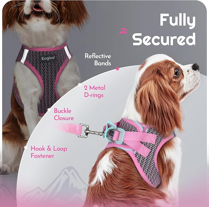 Eagloo Small Dog Harness and Leash Set, Step in Puppy Vest with Breathable Soft Mesh, Walking Reflective Pet Harness for Medium Small Dogs, Pink, M