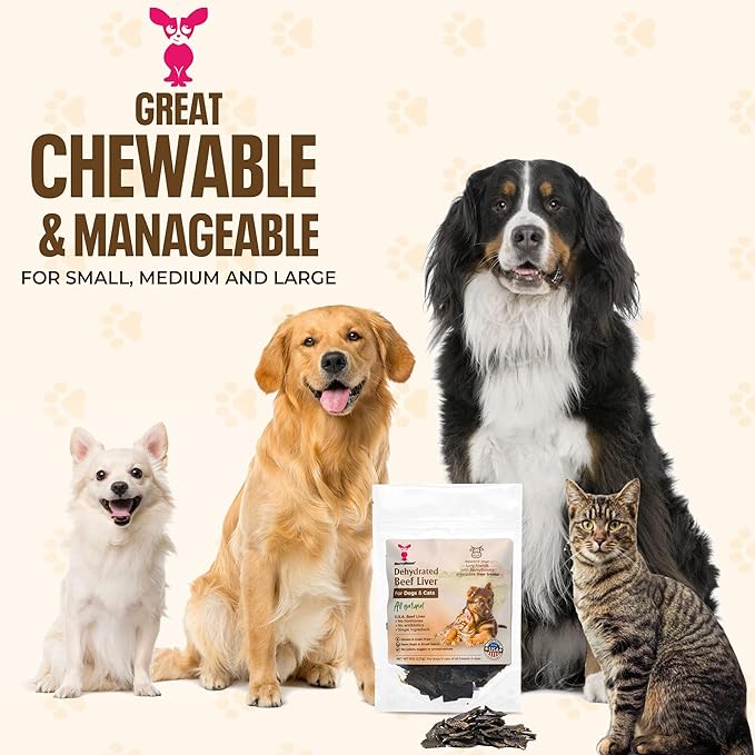 SavvyBeast Dehydrated Beef Liver Dog Treats – Gently Air Dried Raw Organ Meat – Healthy, All-Natural, Single Ingredient, Grain-Free Dry Jerky – Training Treats for Dogs & Cats – Made in USA – 5 oz