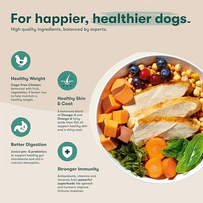 Jinx Premium Grain-Free Dry Dog Food, for All Lifestages - Real Chicken, Sweet Potato & Carrot Kibble with Superfoods for Immune Support & Probiotics for Digestive Support - No Fillers - 11.5lb