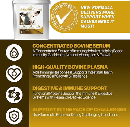 ANNUSO LIFELINE Gammulin Immune & Intestinal Support for Calves, 10lb Pail - Functional Protein Supplement for Days 2-15 - Mix with Milk or Milk Replacer - Vitamins, Minerals, Immune Support