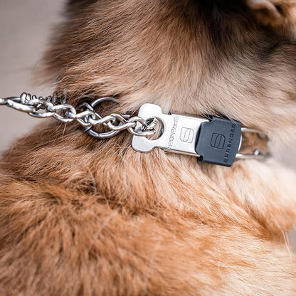 Herm Sprenger Stainless Steel Dog Collar with Short Links and Quick Release ClicLock Buckle Made in Germany (Stainless Steel, 20in x 3.0mm (Neck Size up to 16-17in))