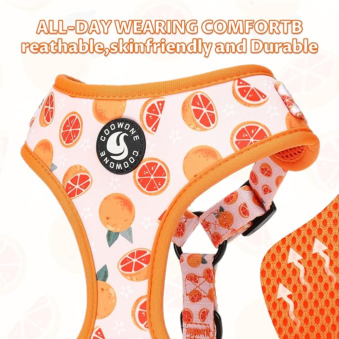 Dog Cat Harness and Leash Set, Puppia Soft Mesh Padded and Adjustable Puppy Vest Cute Dog Clothes Escape Proof Easy Walk Pet Accessories (Grapefruit, XS (Neck 9"-11"; Chest 11"-13"))