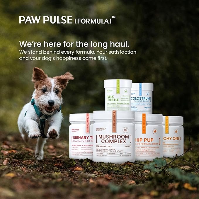 Pawpulse Formula Cranberry for Dogs, Urinary Tract Support for UTI Health, Bladder Stones, Incontinence, Urine Flow, Probiotics for Gut & Immune, 90 Chews
