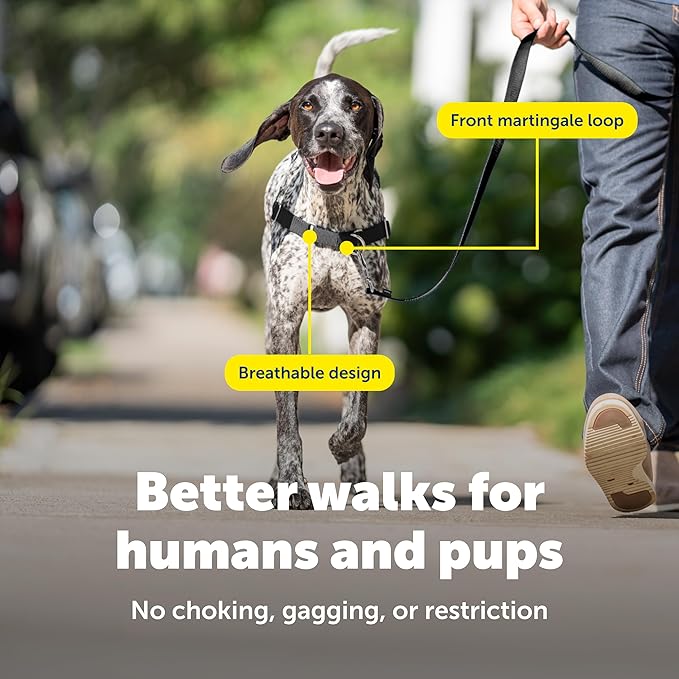 PetSafe Easy Walk Comfort No-Pull Dog Harness - Better Walk Training Harness - Full Body Padded Design - Durable Fabric - 5 Point Adjustable Fit - Everyday Leash Training - Blue - Medium/Large