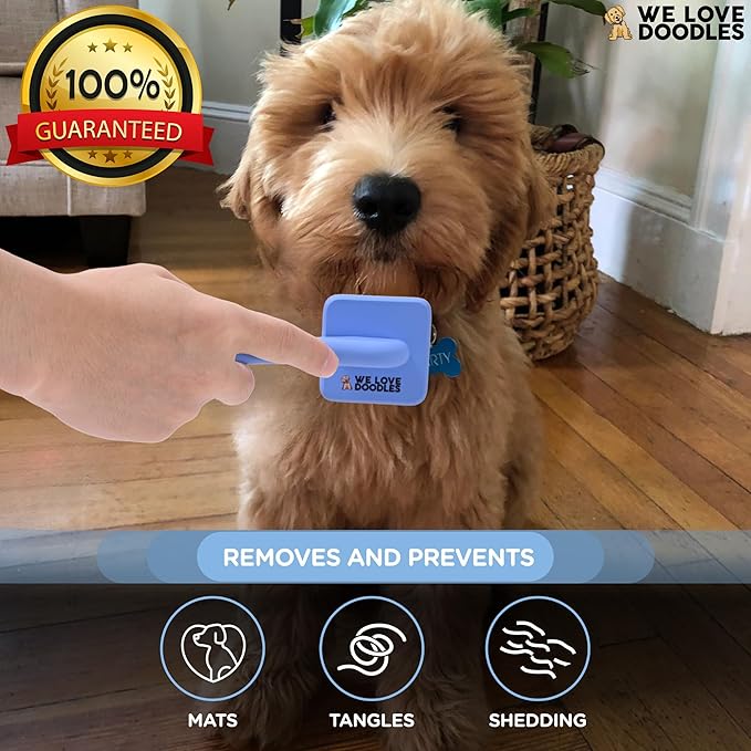 Slicker Brush for Doodles, Detangler Dog Grooming Brush for Delicate Areas, Curly or Dense Coats, Suitable for Puppies, Small and Toy Breeds & Doodles Under 25 lbs (Extra Small)
