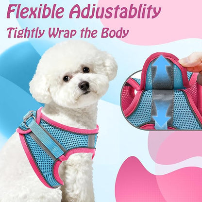 AIITLE Comfortable Dog Harness and Leash Set for Walking - Step in Vest Harness,Reflective Bands, Adjustable No Pull Puppy Essentials, for Small Dogs and House Cats Hot Pink XS