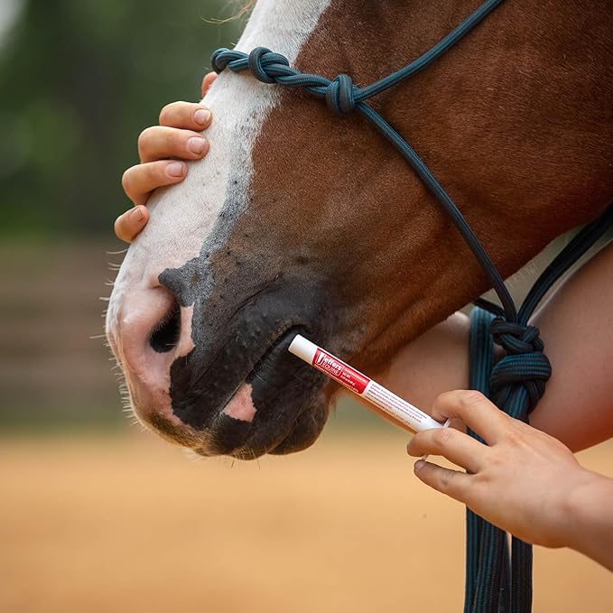 Jeffers Ivermectin Gel Dewormer for Horses - Apple Flavored, 1.87% Broad Spectrum Dewormer Paste with Syringe - Effective Parasite Control for Worms,Pinworms,Bots-Safe for Equine of All Ages-(3 Pack)