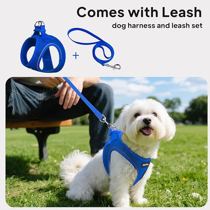 PetiFine Step in Small Dog Harness and Leash Set, Breathable All Weather Air Mesh Reflective Escape Proof, Step-in Vest Harnesses for Puppy(XS, Baby Blue)