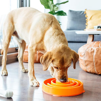 Outward Hound Fun Feeder Slo Bowl – Large 4‑Cup Capacity, Slow Feeding, Medium to Large Dogs, Non‑Slip, Orange, Swirl Pattern