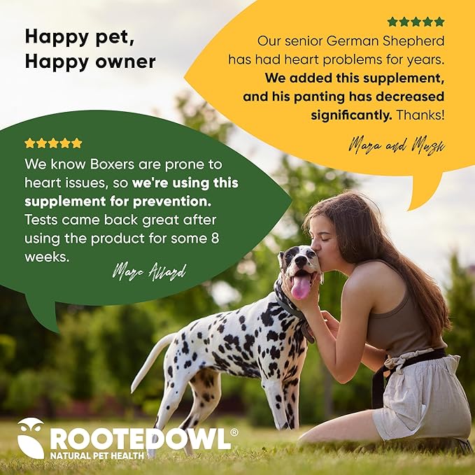 Rooted Owl Cardio Support - L-Taurine and L-Carnitine Supplement for Dogs - Cardiovascular and Heart Health Supplements for Dogs - 60/ct