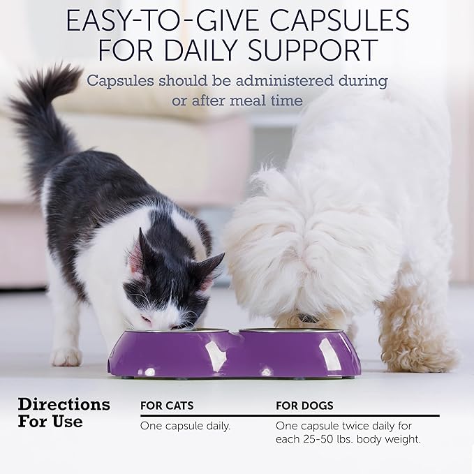 NuLife Hepato Support - Liver Support for Dogs and Cats with Silymarin - Contains Milk Thistle for Dogs & Cats and Vitamin B Complex (B1, B2, B6, B12) - Promotes Canine & Feline Hepatic Health - 90ct