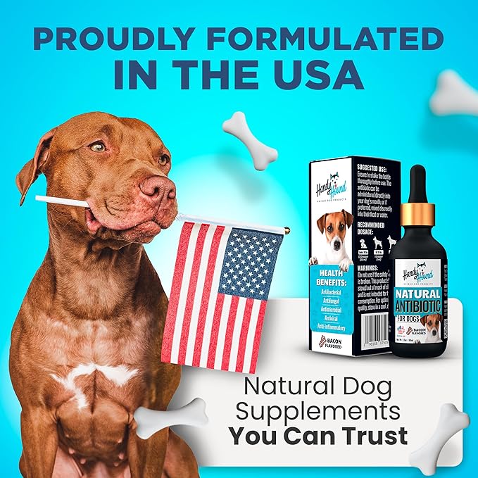 Natural Antibiotics for Dogs Without Vet Prescription – Dog Antibiotics for Infection, Cough, UTI, Allergies – Dog Itching Skin Relief Supplement – Bacon Flavor (2 oz)