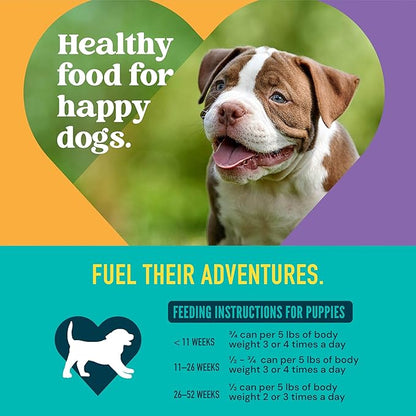A Strong Heart Wet Dog Food, Puppy Chicken & Beef Dinner, Made with Real Chicken & Beef, Made in The USA, 13.2 oz Can (Pack of 12)
