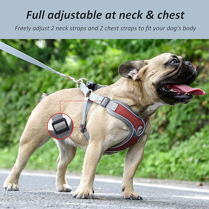 Dog Harness with Leash Set, Adjustable Step in Collars Harness with Breathable Padded Vest for Small Medium Large Dogs Training and Running(L, Red)
